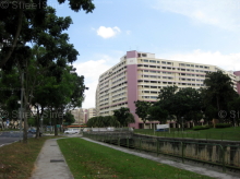 Blk 418 Hougang Avenue 8 (Hougang), HDB 5 Rooms #250412